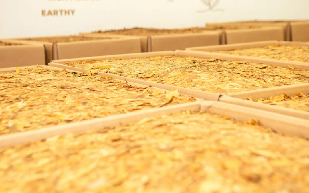 COP 11 e exportações pautam a última reunião da Câmara Setorial